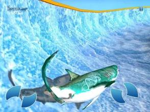 Shark Slide Racing 2018截图1