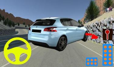 Driving Race Simulator Peugeot截图2