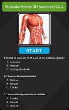 Muscular System 3D (anatomy) Quiz截图2