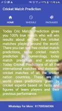 Cric Match Prediction截图3