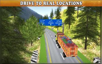 Pak Truck Driver 2截图2