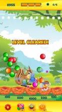 Squirrel Bubble Blast: Best Bubble Shooter截图4