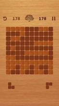 Wood Puzzle - Brain Puzzle Game截图5