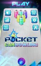 Pocket Can bowling截图5