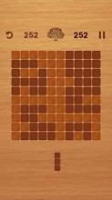 Wood Puzzle - Brain Puzzle Game截图2