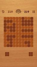 Wood Puzzle - Brain Puzzle Game截图4