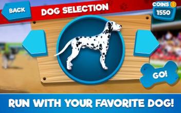 Dog Race Simulator 2018截图1