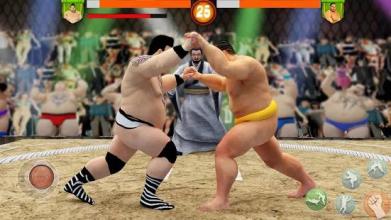 Sumo Wrestling WWE截图2