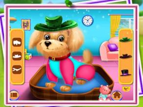 Puppy Dog Love - Dream Pet DayCare & Salon截图3