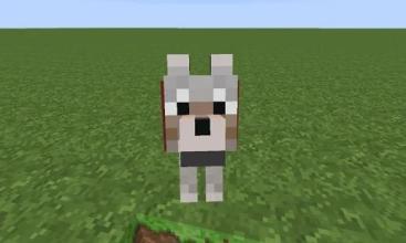 Dog Mod MCPE截图3