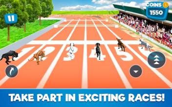 Dog Race Simulator 2018截图3