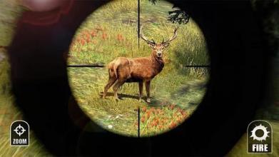 Cool hunting games截图4