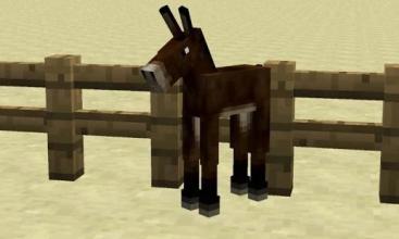 Dog Mod MCPE截图2