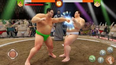 Sumo Wrestling WWE截图1