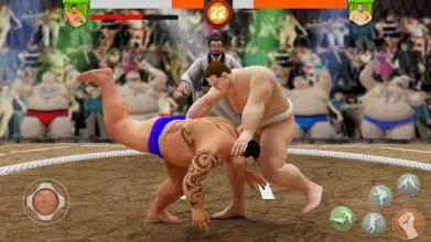 Sumo Wrestling WWE截图4