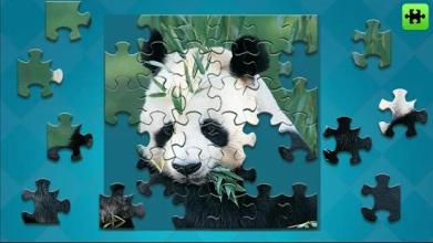 Jigsaw Puzzles Story截图1