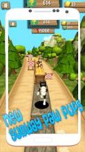 Subway Paw Pups Rush截图3