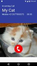 Cat Fake Call截图1