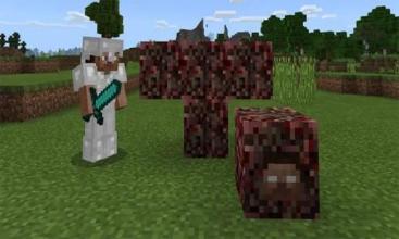 Last Herobrine Mod MCPE截图1