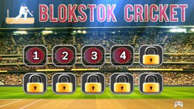 Blokstok Cricket截图1