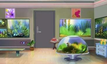 Escape Game - Fish Shop截图2