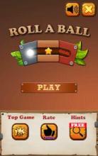 Roll a Ball: Free Puzzle Unlock Wood Block Game截图4