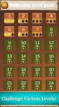 Roll a Ball: Free Puzzle Unlock Wood Block Game截图1