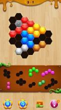 Wood Hexa Block Puzzle截图3