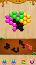 Wood Hexa Block Puzzle截图1