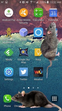 大鼠在屏幕上截图