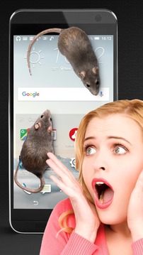 大鼠在屏幕上截图