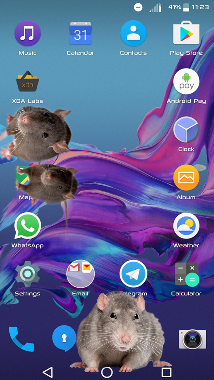 大鼠在屏幕上截图5