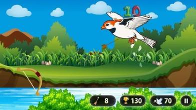 Bird Hunting - Archary Hunting Games截图1