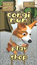 Corgi Run截图2