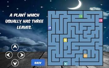 Word Maze Puzzle截图4