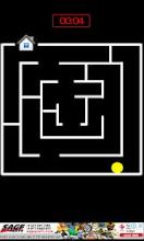 The Maze Puzzle截图3