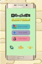 Black Block Puzzle截图1