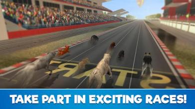 Wild Greyhound Crazy Dog Race 3D Simulation 2018截图4