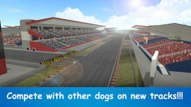 Wild Greyhound Crazy Dog Race 3D Simulation 2018截图2