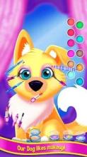 Puppy & Kitten Hairdresser: Hairdo and Fashion Spa截图4