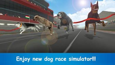 Wild Greyhound Crazy Dog Race 3D Simulation 2018截图5