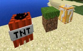 3D Block Mod MCPE截图1