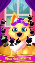 Puppy & Kitten Hairdresser: Hairdo and Fashion Spa截图3