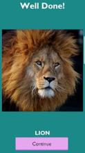 Animal Tiles Quiz Game - Guess That Animal截图3