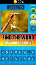 100 pics quiz 2018 - Guess and make word game截图5