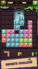 Block Puzzle Jewels Legend!截图3