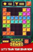 Block Jewel Puzzle - World of Block [New]截图3