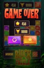 Block Jewel Puzzle - World of Block [New]截图1