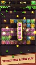 Block Puzzle Jewels Legend!截图4