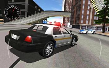 Police Car : Robber Chase Cop Driving Simulator 3D截图1